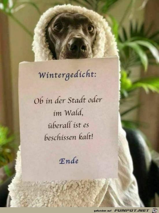 Wiintergedicht.... Wiintergedicht....