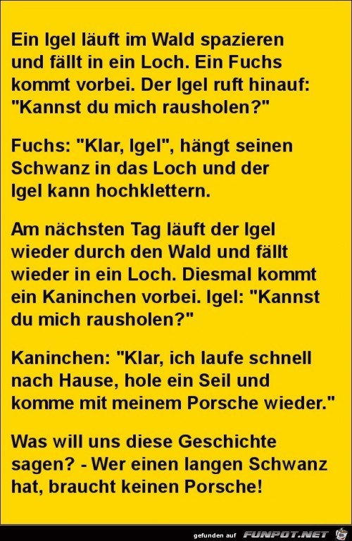 ein Igel im Wald....... ein Igel im Wald.......
