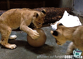 Ballspiel Ballspiel