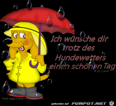 Hundewetter,......