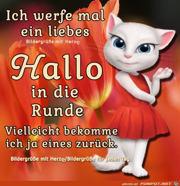 Ein liebes Hallo Ein liebes Hallo