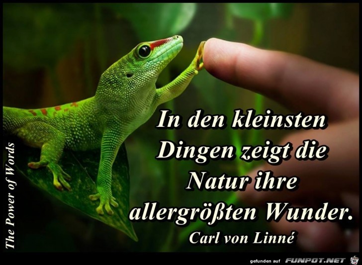 In den kleinsten Dingen