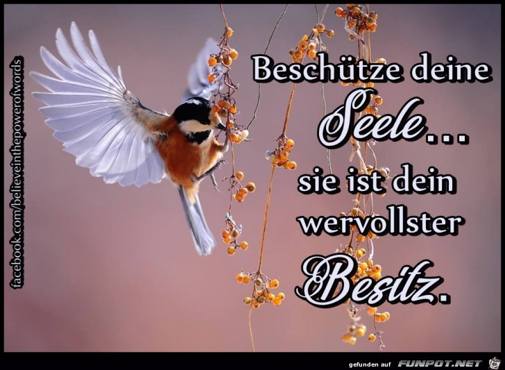 Beschuetze deine Seele Beschuetze deine Seele