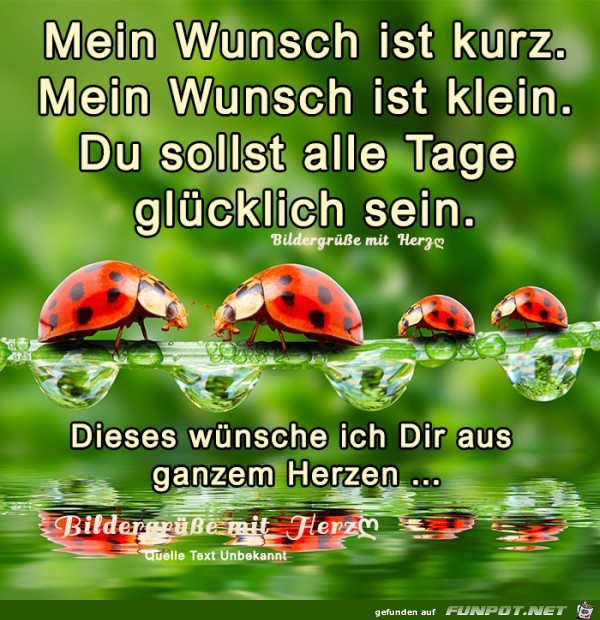 Mein Wunsch ist kurz Mein Wunsch ist kurz