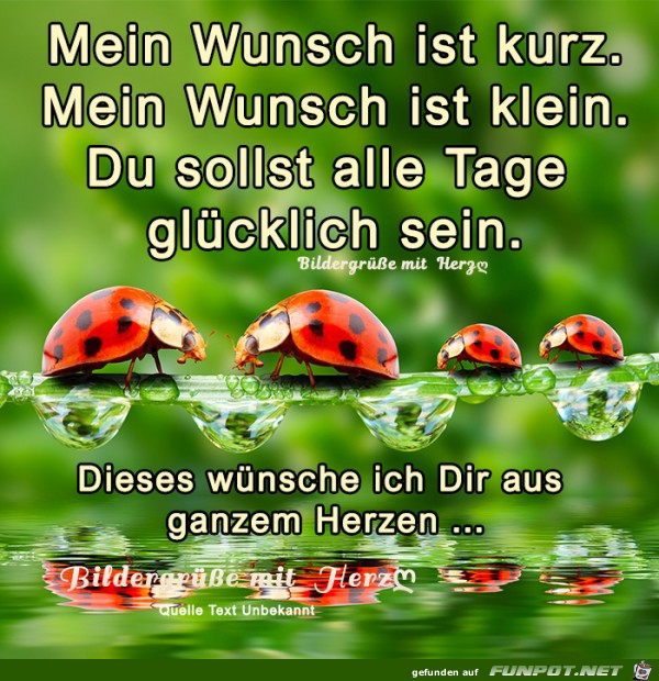 Mein Wunsch ist kurz Mein Wunsch ist kurz