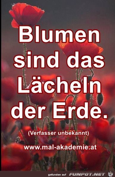Blumen sind Blumen sind