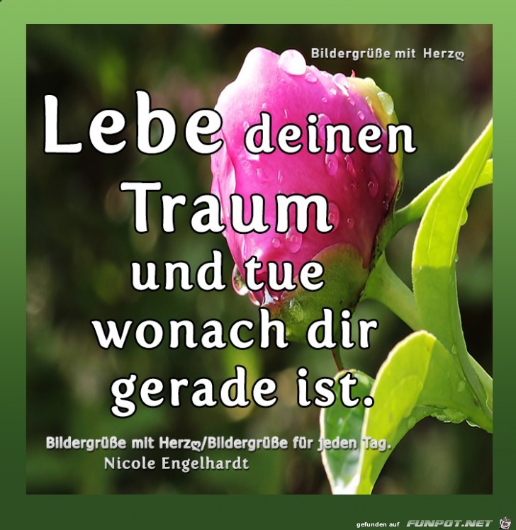 Lebe deinen Traum Lebe deinen Traum