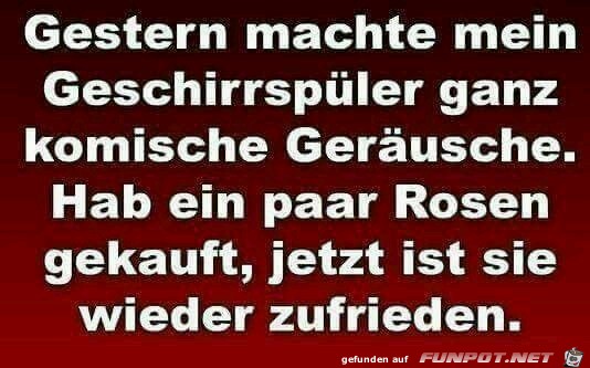 Geschirrspueler