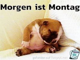 MorgenIstMontag MorgenIstMontag