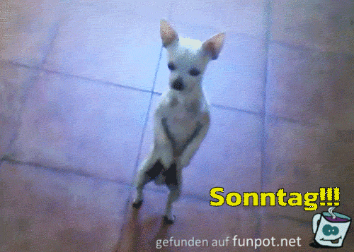 Sonntag Sonntag
