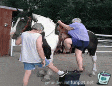 Das ging daneben Das ging daneben
