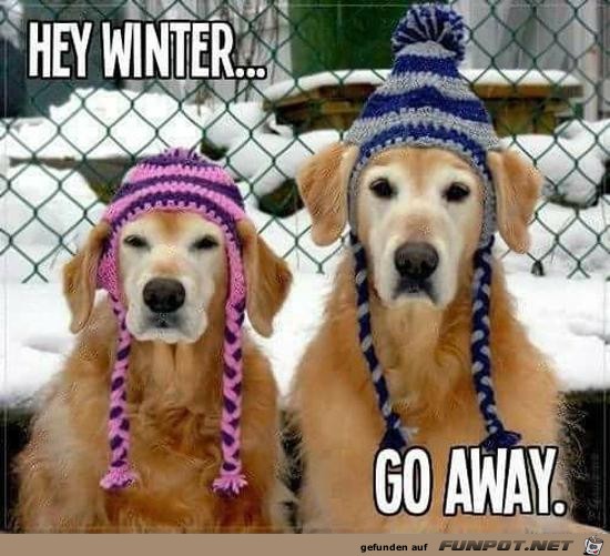 Winter hau ab Winter hau ab