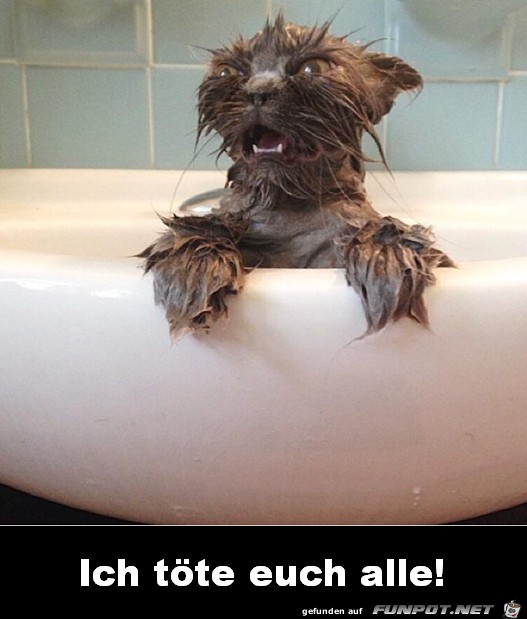 Gnade euch Gnade euch