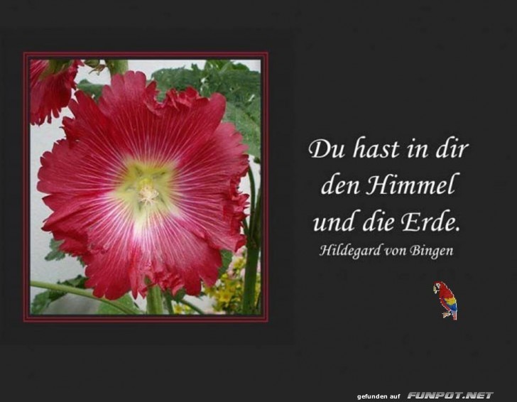 Hildegard von Bingen Hildegard von Bingen