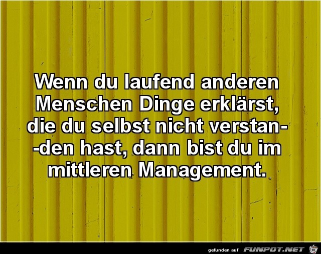 Mittleres Management Mittleres Management