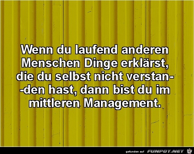 Mittleres Management