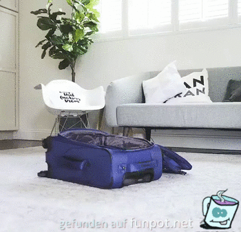 Erst mal Koffer packen Erst mal Koffer packen
