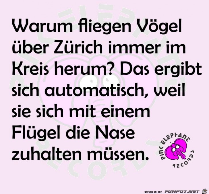 Voegel ueber Zuerich Voegel ueber Zuerich