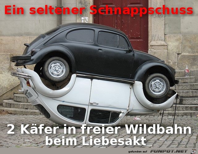 Schnappschuss Schnappschuss