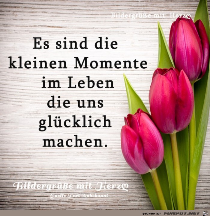 Kleine Momente Kleine Momente