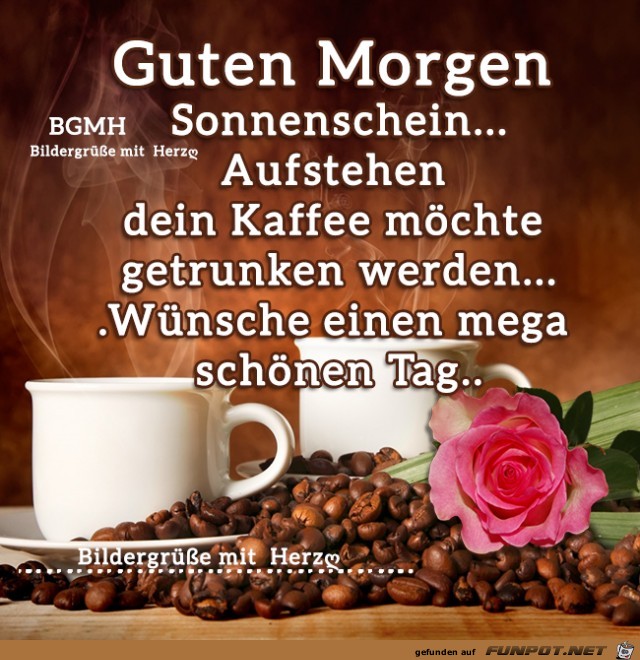 Guten Morgen Sonnenschein