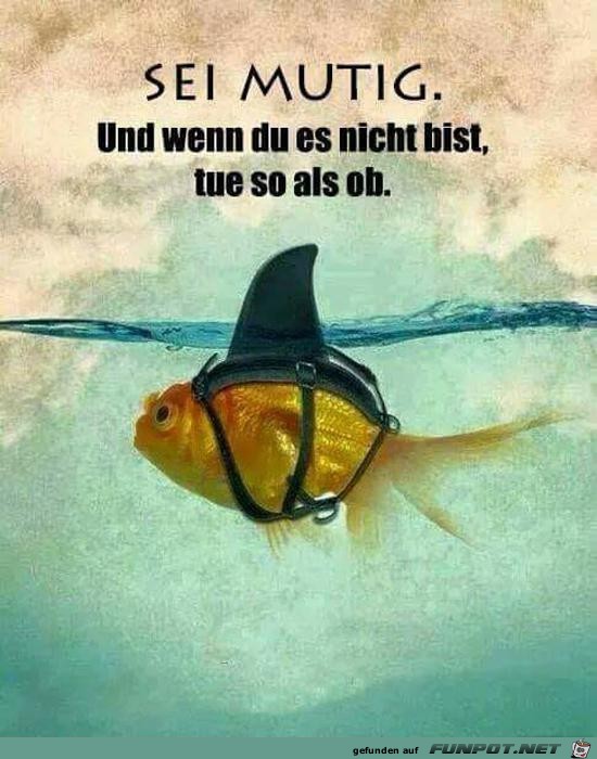 Sei mutig Sei mutig