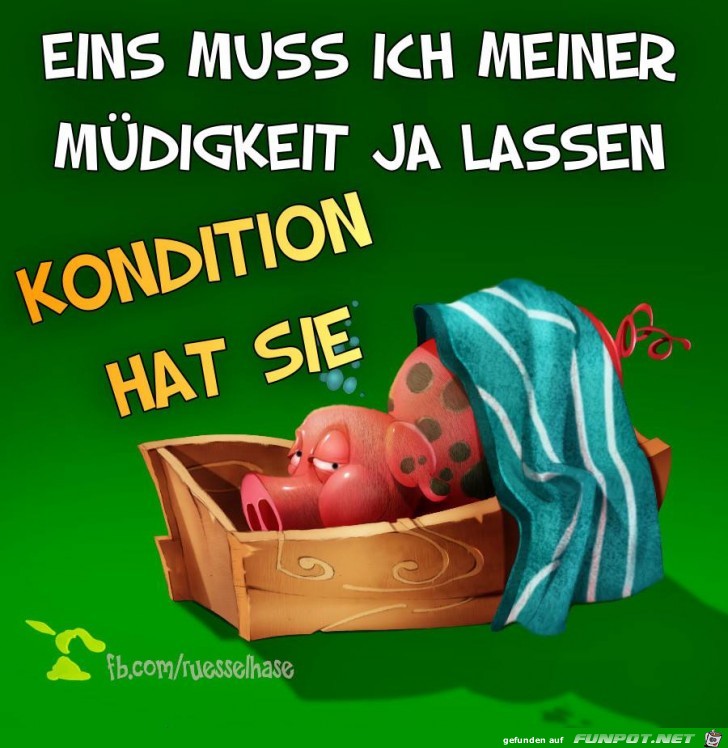Muedigkeit Muedigkeit