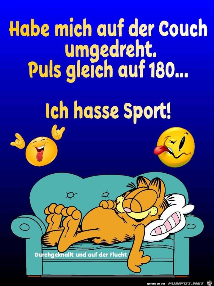 Hasse Sport