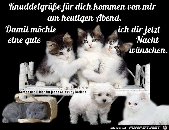 Knudelgruesse Knudelgruesse