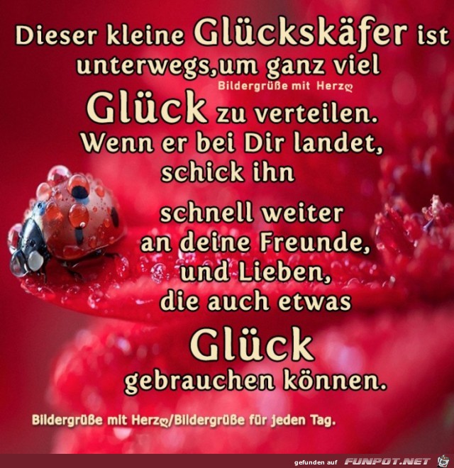 Dieser klein Glueckskaefer Dieser klein Glueckskaefer