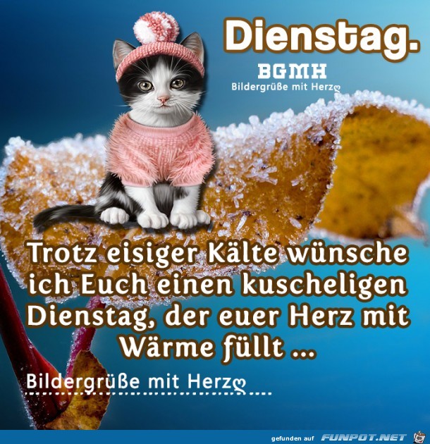 Dienstag Dienstag