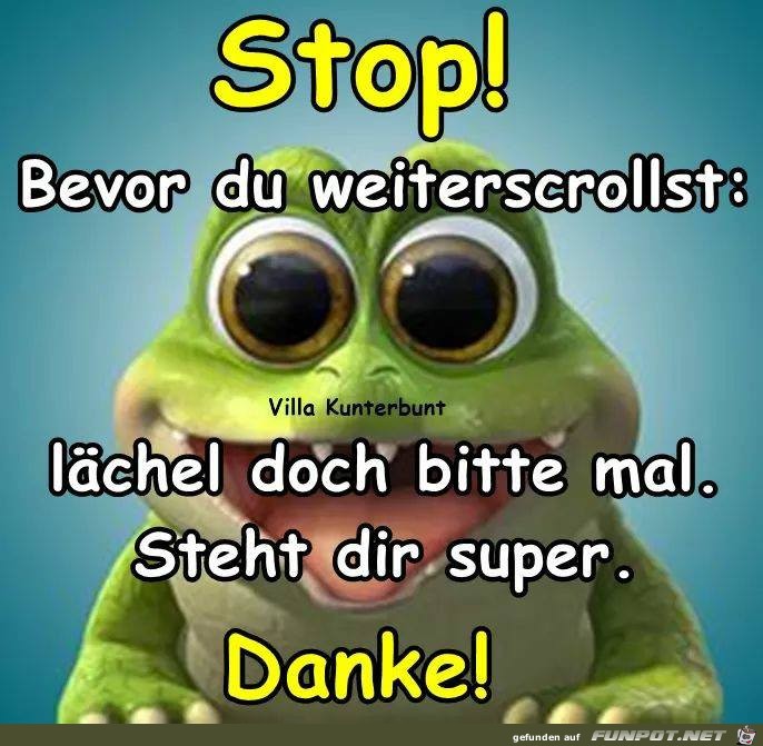 Stop Stop