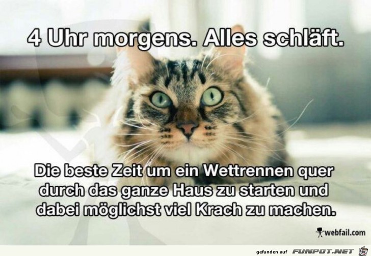 4 Uhr morgens 4 Uhr morgens