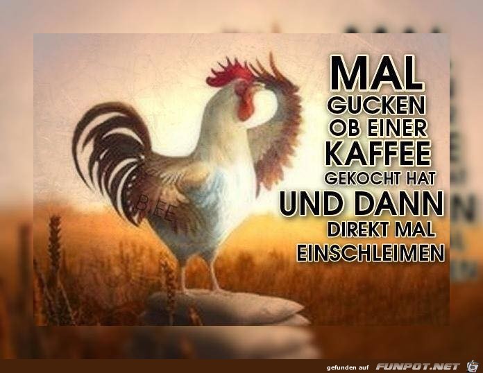 Wo gibt es Kaffee Wo gibt es Kaffee