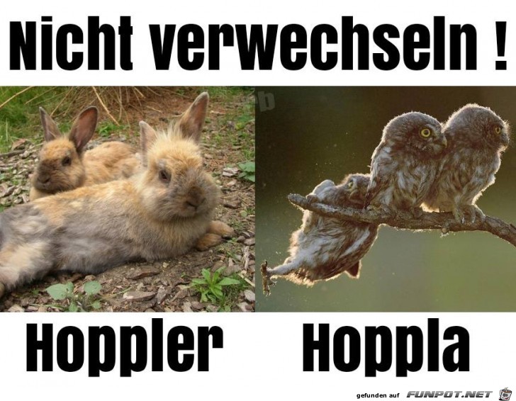 Nicht verwechseln Nicht verwechseln