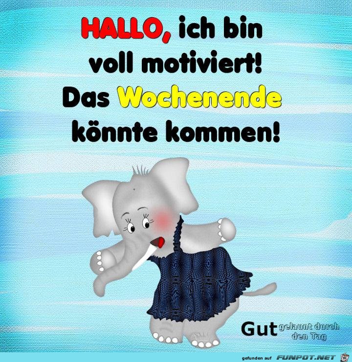 Hallo bin voll motiviert