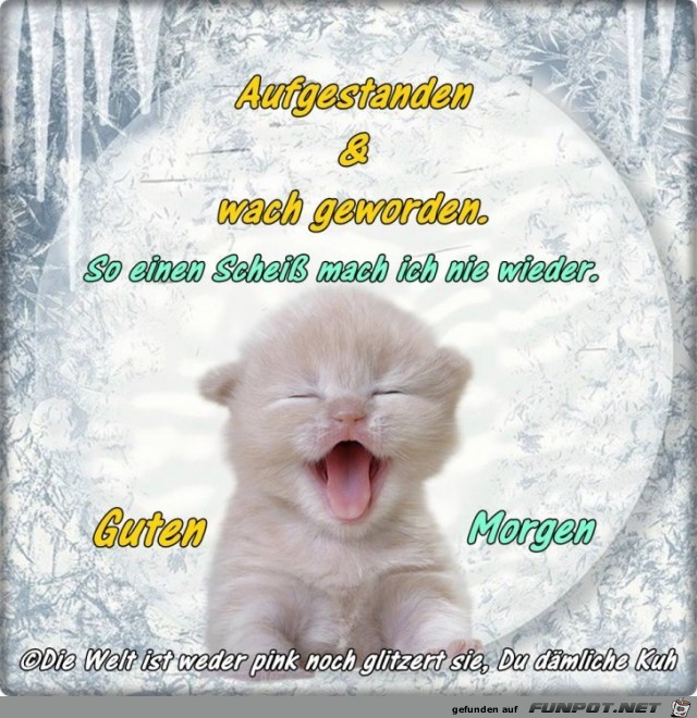 Aufgestanden Aufgestanden