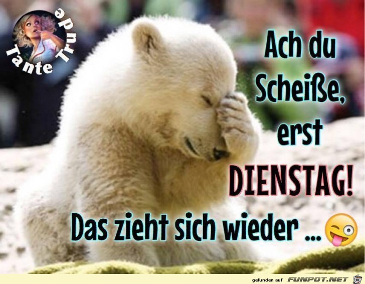 Ach du Scheisse Ach du Scheisse