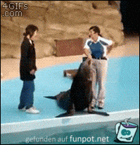 Hoppla Hoppla
