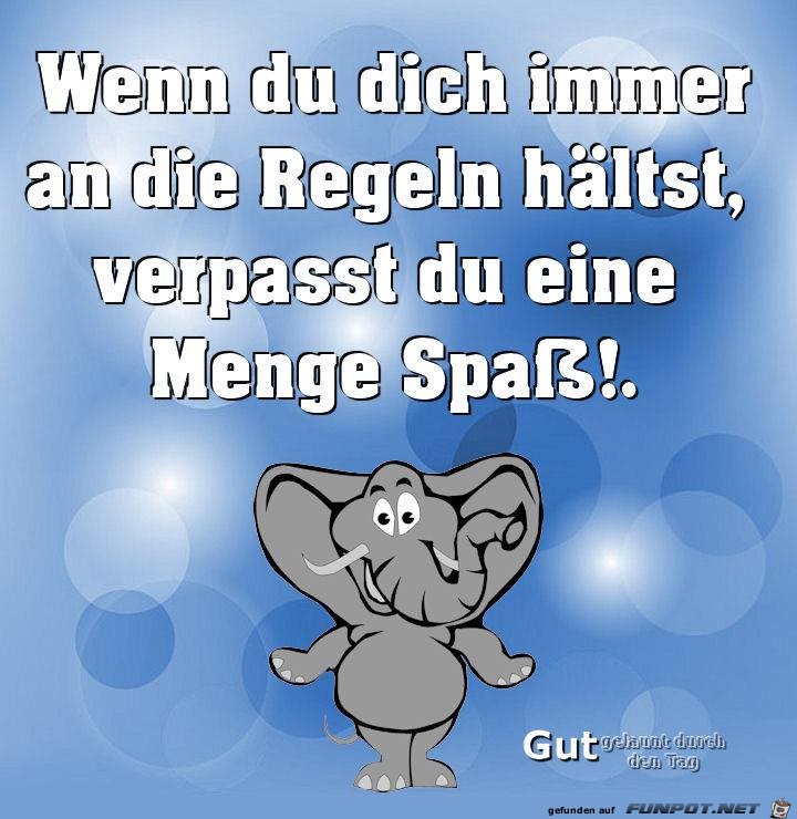 Menge Spass Menge Spass
