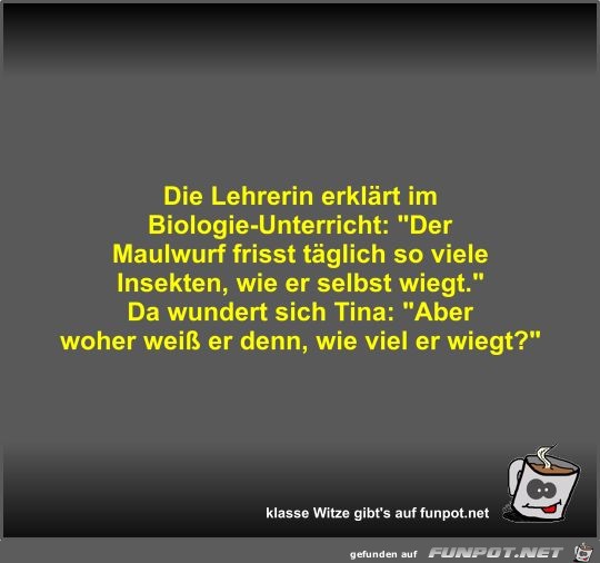 Die Lehrerin erklärt im Biologie-Unterricht Die Lehrerin erklärt im Biologie-Unterricht
