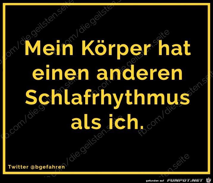 Schlafrhythmus Schlafrhythmus