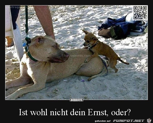 ist wohl nicht dein Ernst, oder?...... ist wohl nicht dein Ernst, oder?......