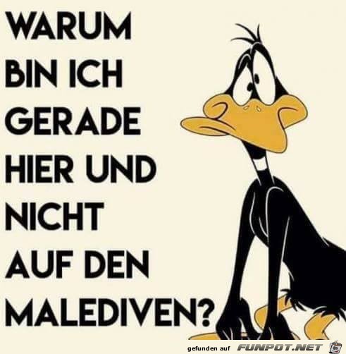 Warum bin ich gerade hier Warum bin ich gerade hier