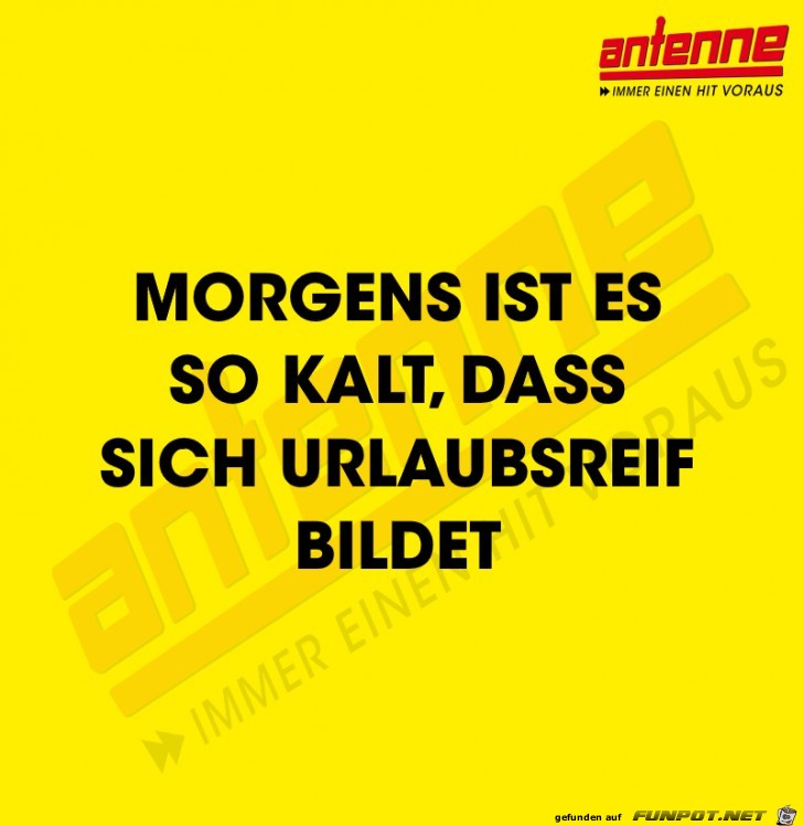 Morgens ist es so kalt Morgens ist es so kalt