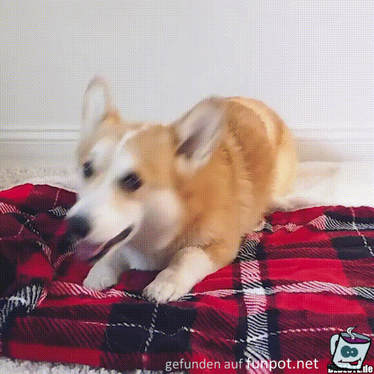 Zugedeckt Zugedeckt