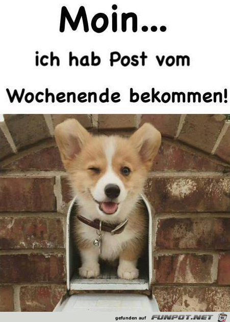 Post Post