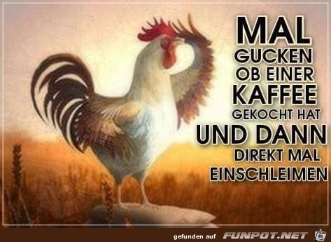 Mal gucken.. Mal gucken..