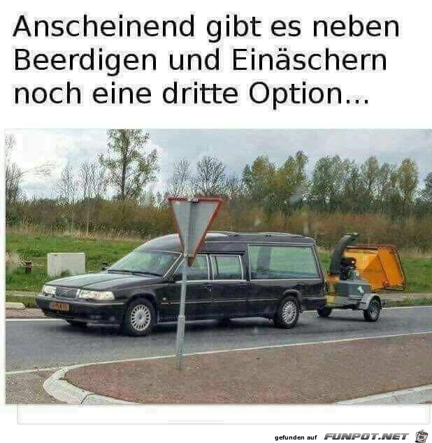 Dritte Option