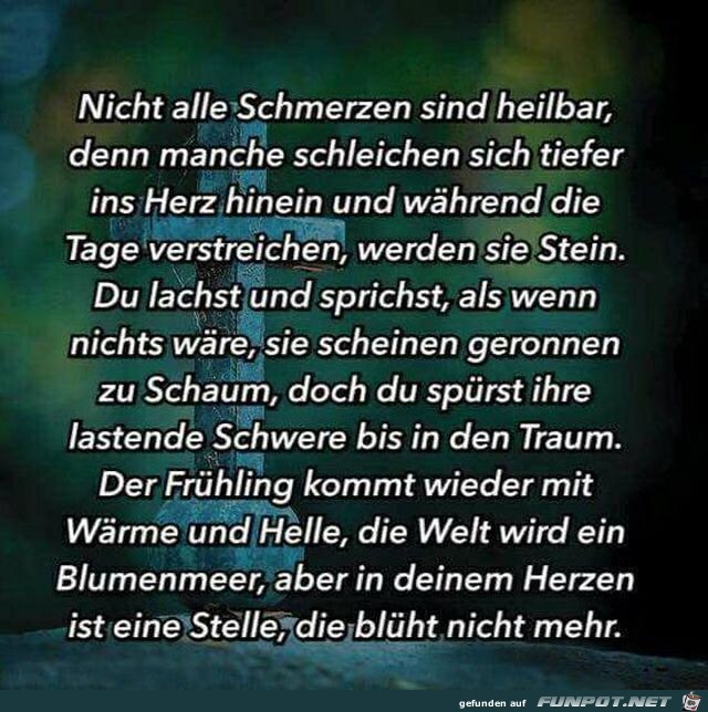 Schmerzen Schmerzen